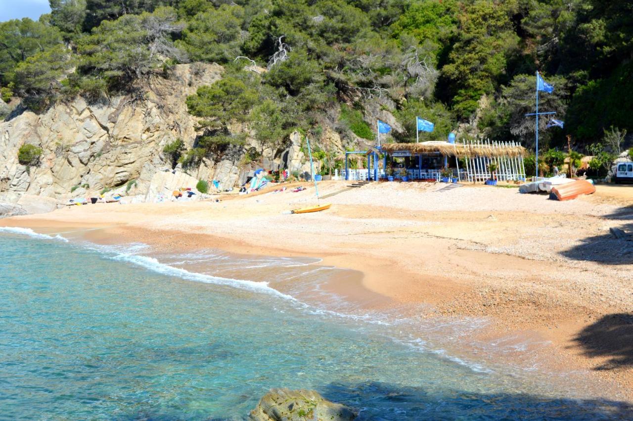 Studios Sol Y Mar Avec Piscine Tossa de Mar Eksteriør billede